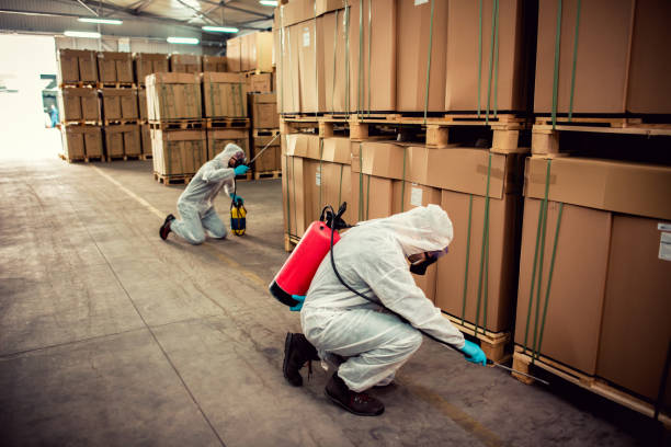 Best Emergency Pest Control  in Medpolis, IA
