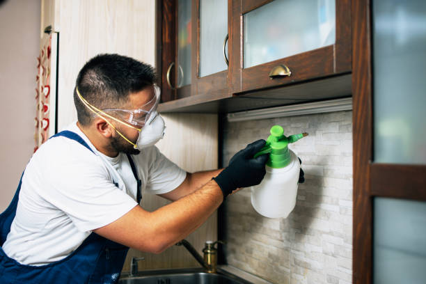 Best Affordable Pest Control Services  in Medpolis, IA